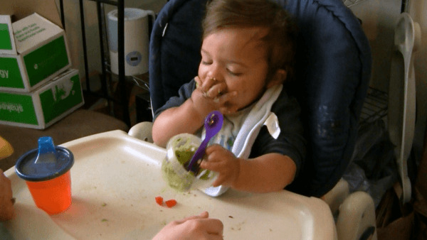 playing_with_food