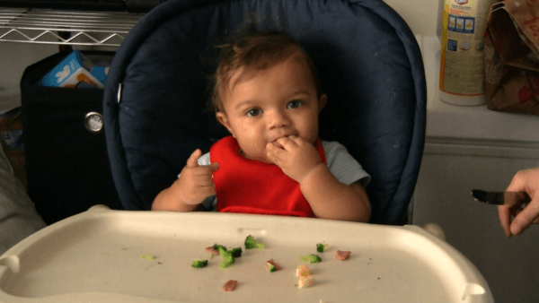 solid_foods