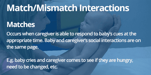 Screenshot from Regulation course of Matched and mismatch interactions