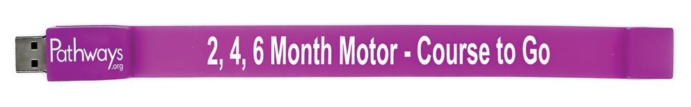 2, 4, 6 Month Motor – Course to Go