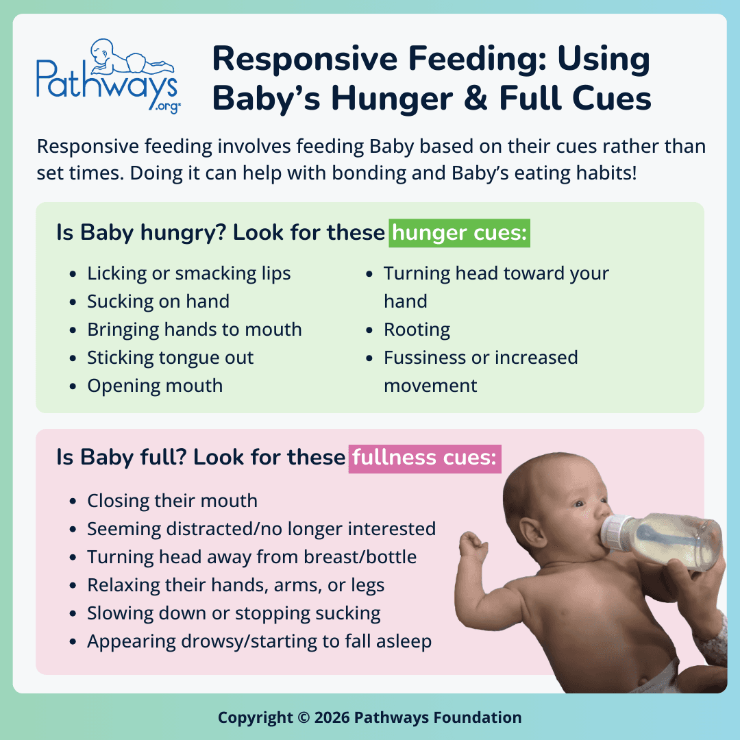 Infographic titled “Responsive Feeding: Using Baby’s Hunger & Full Cues” from Pathways.org explaining how to follow Baby’s cues, with examples of hunger cues like lip smacking, rooting, and bringing hands to mouth, and fullness cues like turning away, slowing sucking, and appearing relaxed or drowsy.