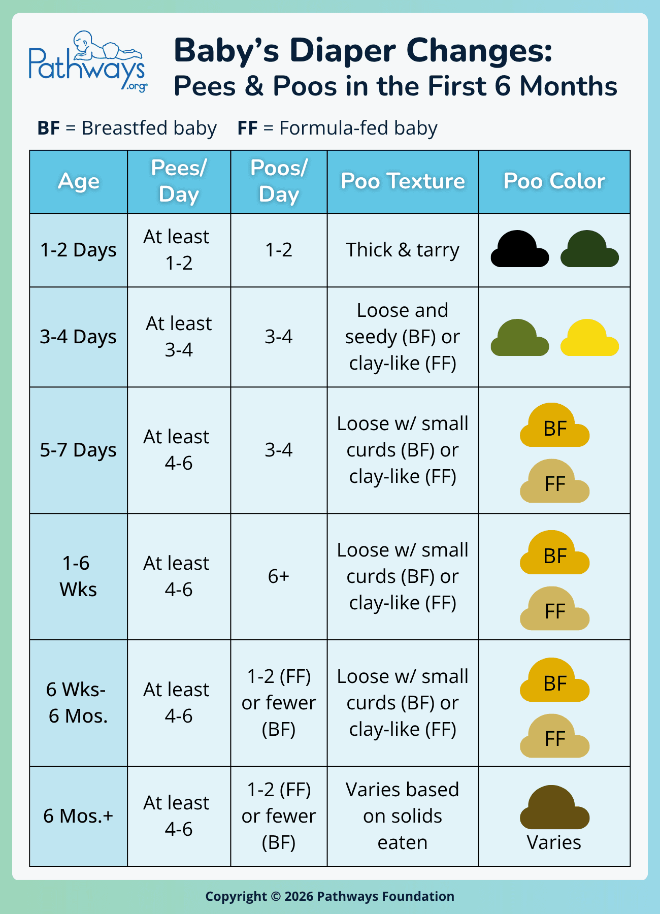 Infographic titled “Baby’s Diaper Changes: Pees & Poos in the First 6 Months” from Pathways.org showing how diaper patterns change by age, including daily wet and dirty diapers, along with typical stool texture and color for breastfed and formula-fed babies