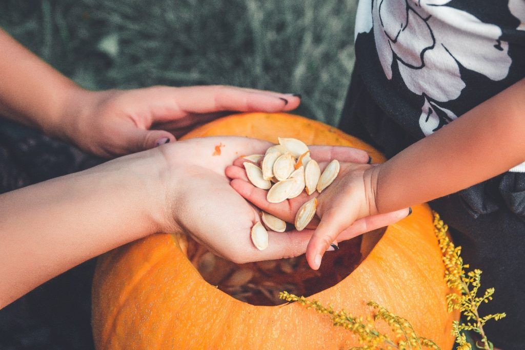 close up of woman’s and child hands pulls seeds