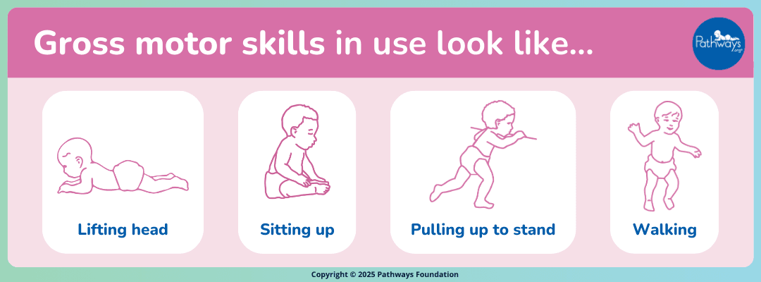 motor gross skills ZiPw