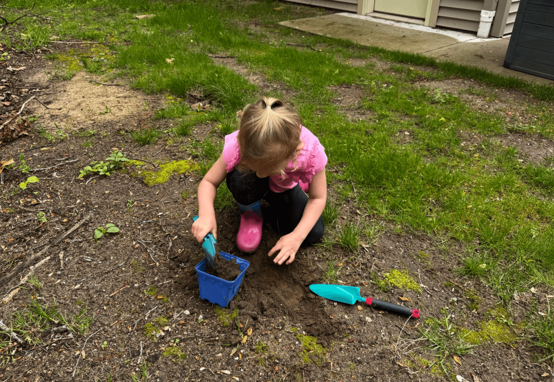 Young girl kneeling in yard scoops dirt into a blue bucket.
