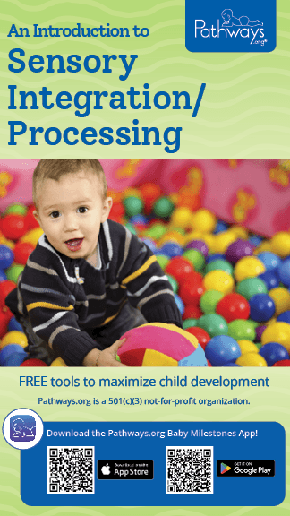 sensory Brochure Front Cover