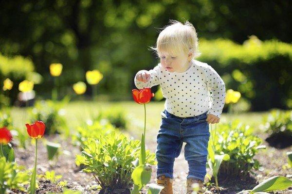 Gardening is a good family activity for fall and can promote sensory development in kids