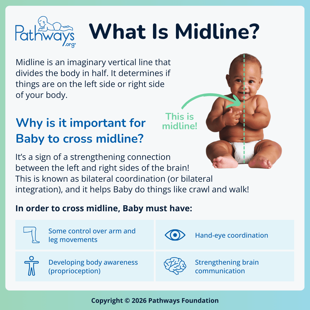  Infographic titled “What Is Midline?”. A picture of a sitting baby demonstrates midline with a dotted green line down the middle of his body. Midline is an imaginary vertical line that divides the body in half. For babies, crossing midline is a sign of a strengthening connection between the left and right sies of the brain. To cross midline, Baby must have some control over arm and leg movements, hand-eye coordination, developing body awareness, and strengthening brain communication.