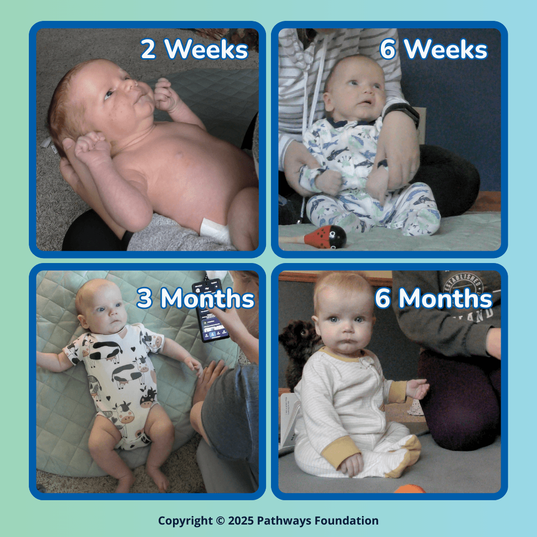 Each quadrant of the graphic has an image of the same baby boy at 2 weeks, 6 weeks, 3 months, and 6 months to show growth spurts at different ages.