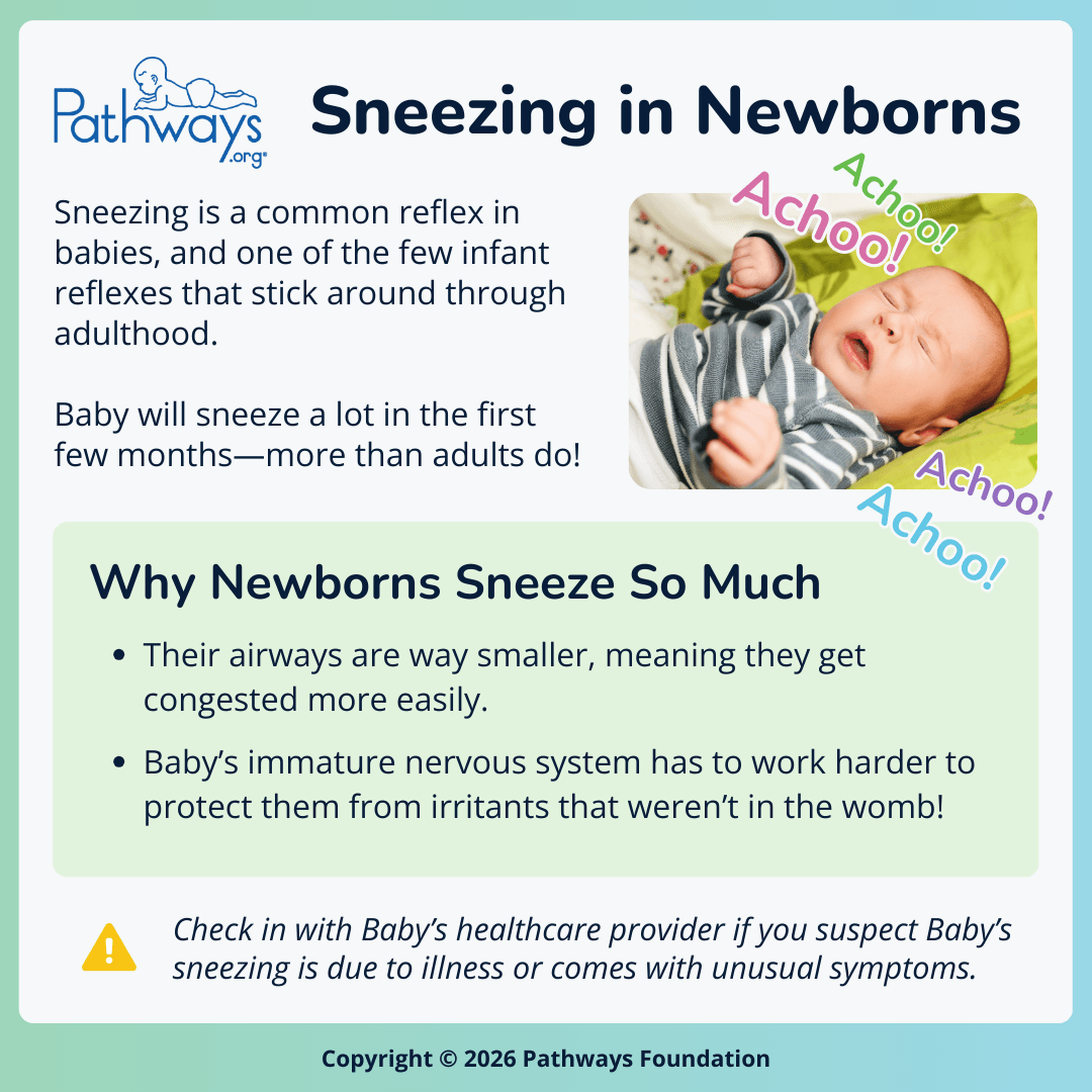 Square Pathways.org infographic titled, “Sneezing in Newborns”. On the left, text explains that sneezing is a common reflex in babies and happens more often in the first few months than in adults. On the right, a photo shows a newborn sneezing while lying on a blanket, with colorful “Achoo!” text around the image. A highlighted section reads ‘Why Newborns Sneeze So Much’ and lists two reasons: their airways are very small and get congested easily, and their immature nervous system works to protect them from new irritants outside the womb. At the bottom, a caution note advises caregivers to check with Baby’s healthcare provider if sneezing seems related to illness or unusual symptoms.