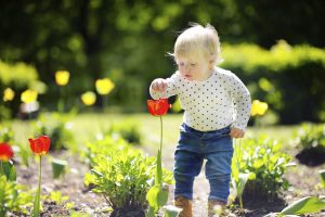 toddler_smelling_tulip_in_garden