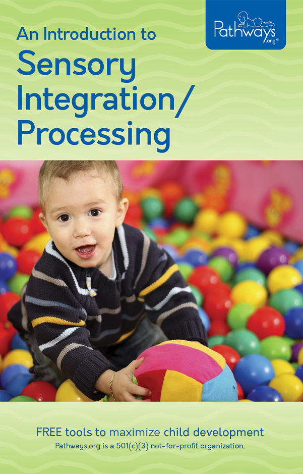 Sensory Integration Cover