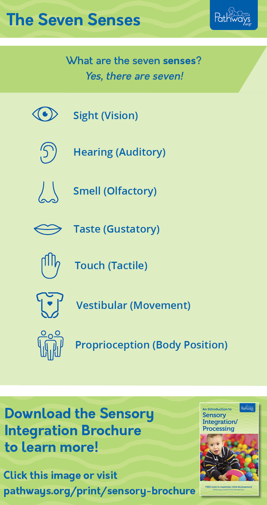 Sensory Integration 7 Senses In Child Development Pathways Org