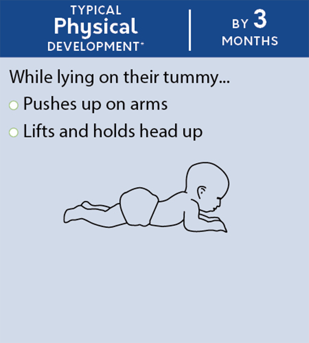 physical_development_by_3_months