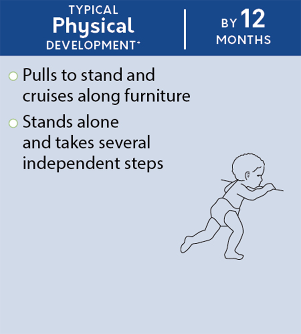 physical_development_by_12_months