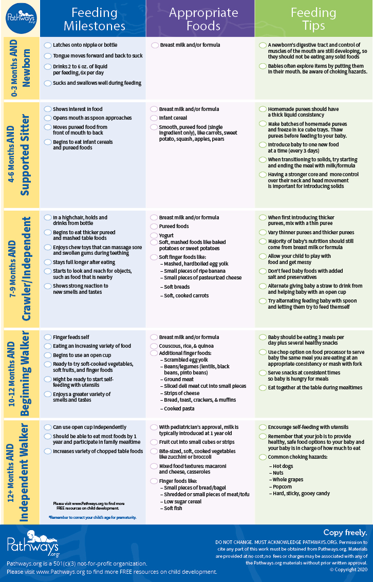 feeding_checklist_english_image