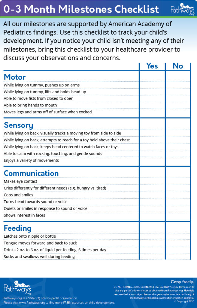 Summary Of Developmental Assessment Fillable Form Based On Observations 