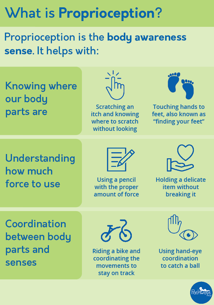 How the brain senses body position and moveme