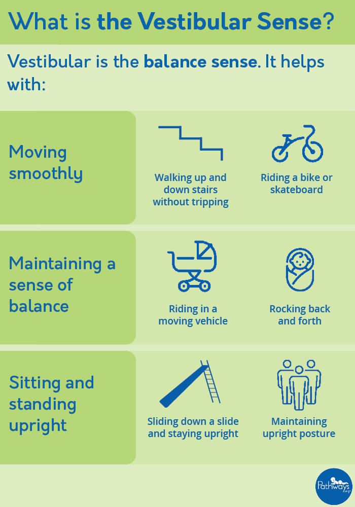 what-is-the-vestibular-sense-pathways