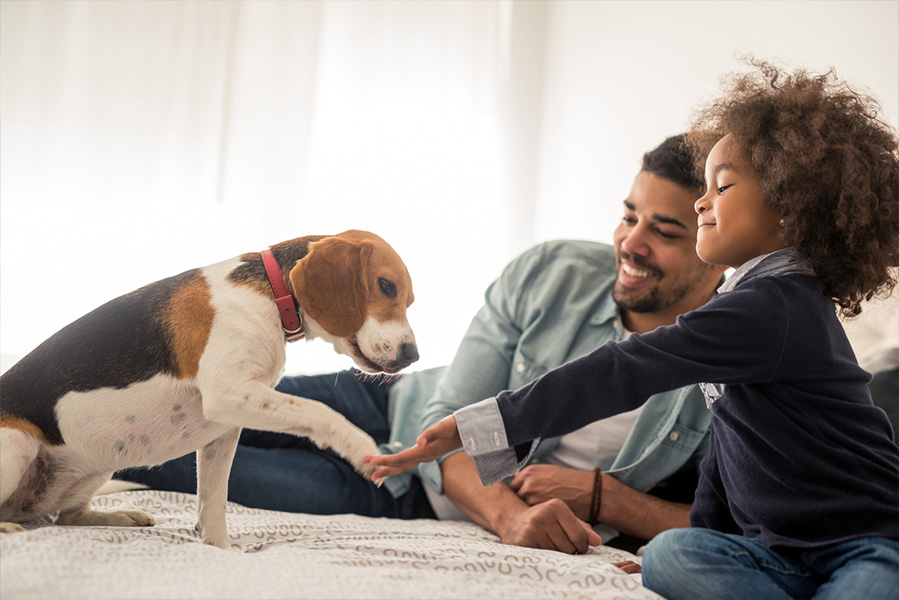 Pets have social-emotional benefits for kids