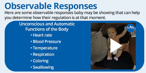 List of observable baby responses from the baby regulation course