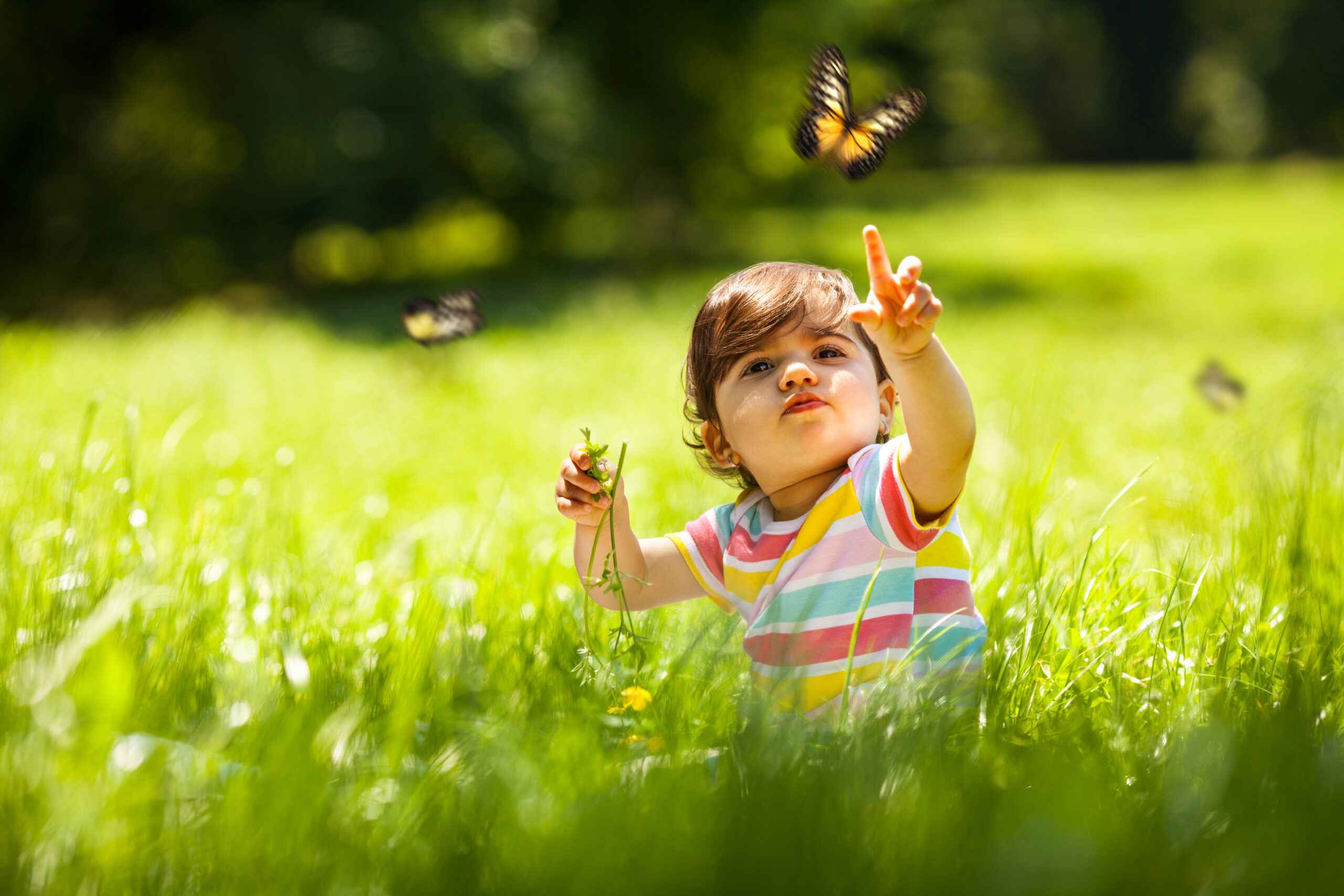 Наблюдать за бабочкой. Дети и природа. Радостные дети. Дети радуются на природе. LSNB YF ghbhjls.