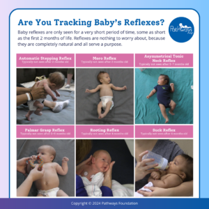 Baby's reflexes infographic