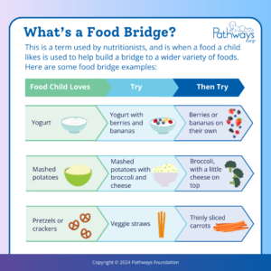 Food bridge infographic
